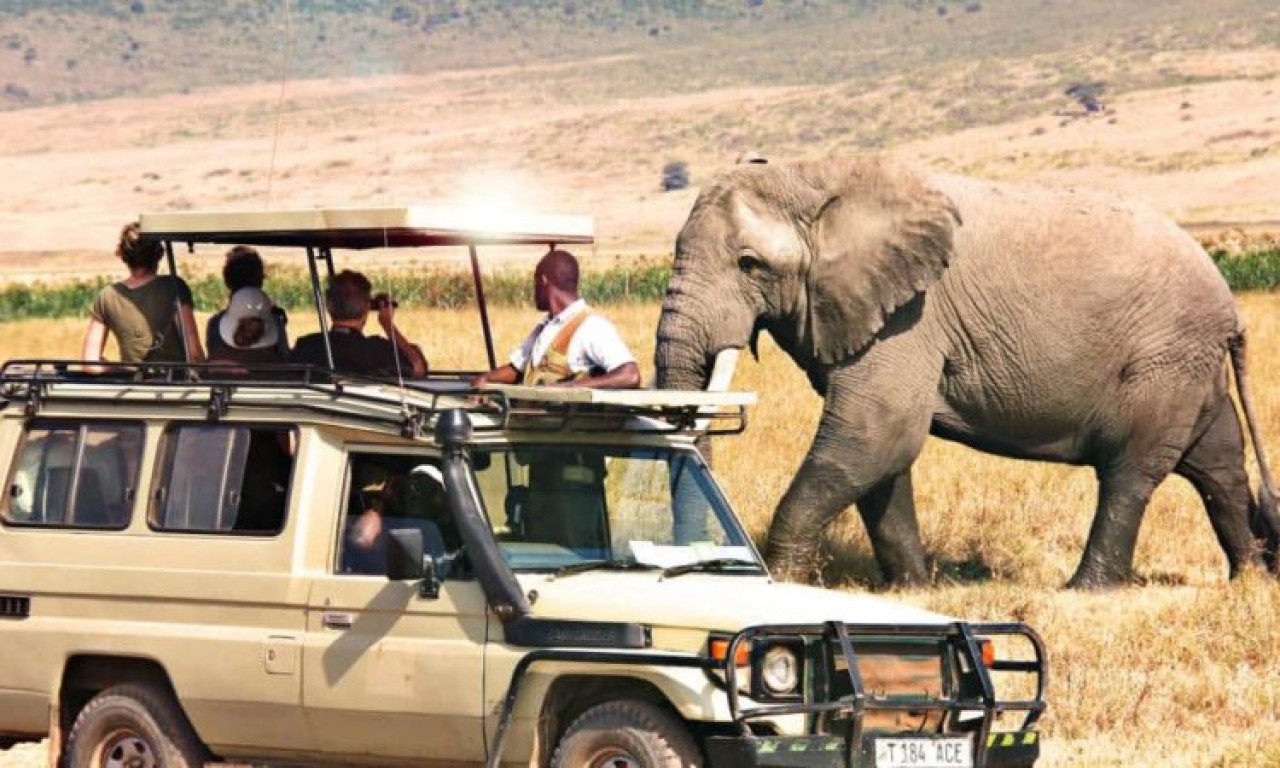 7 Days Tanzania Wildlife Safari