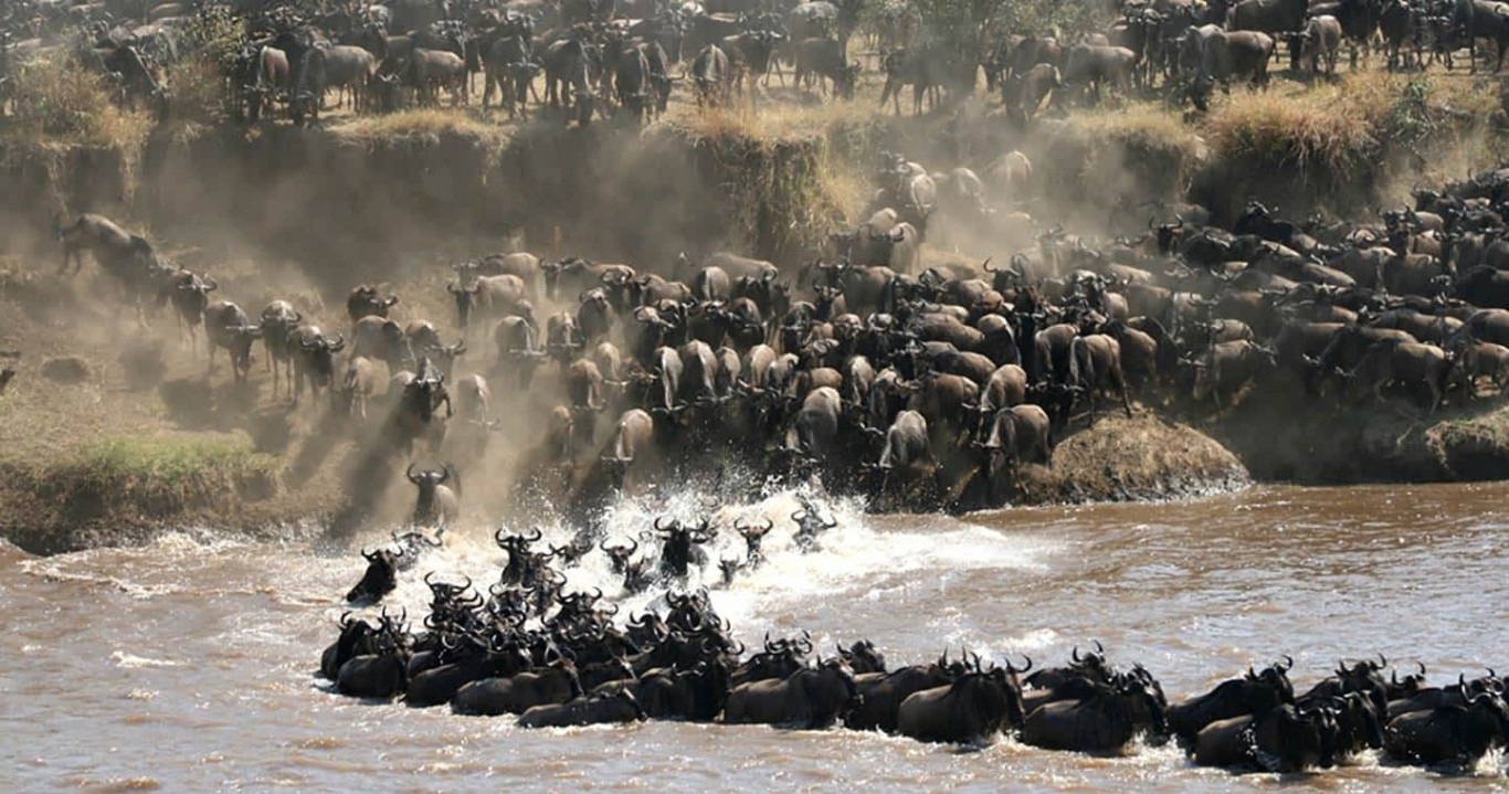 8 Days Tanzania Safari - Serengeti Wildebeest Migration