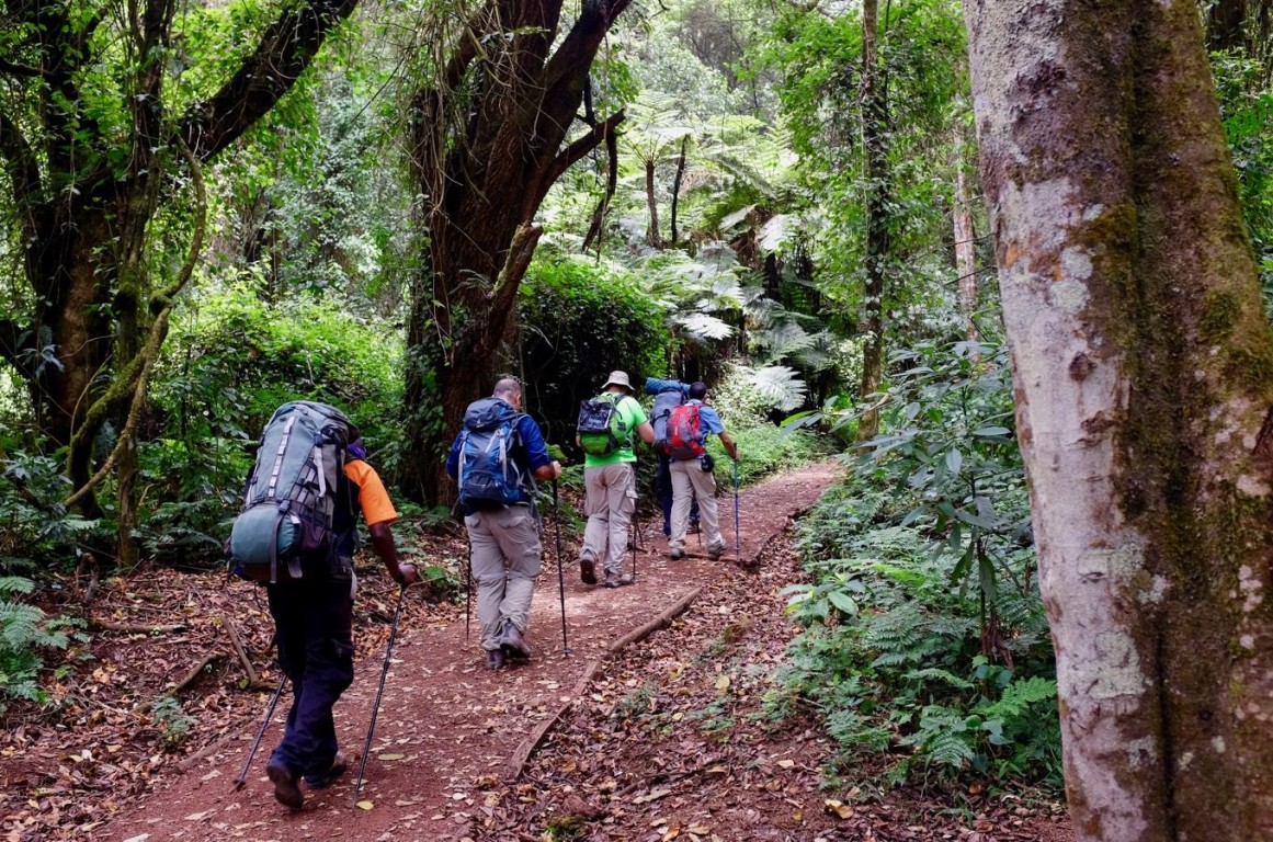 Climb Mt. Kilimanjaro Via Lemosho Route 8 Days