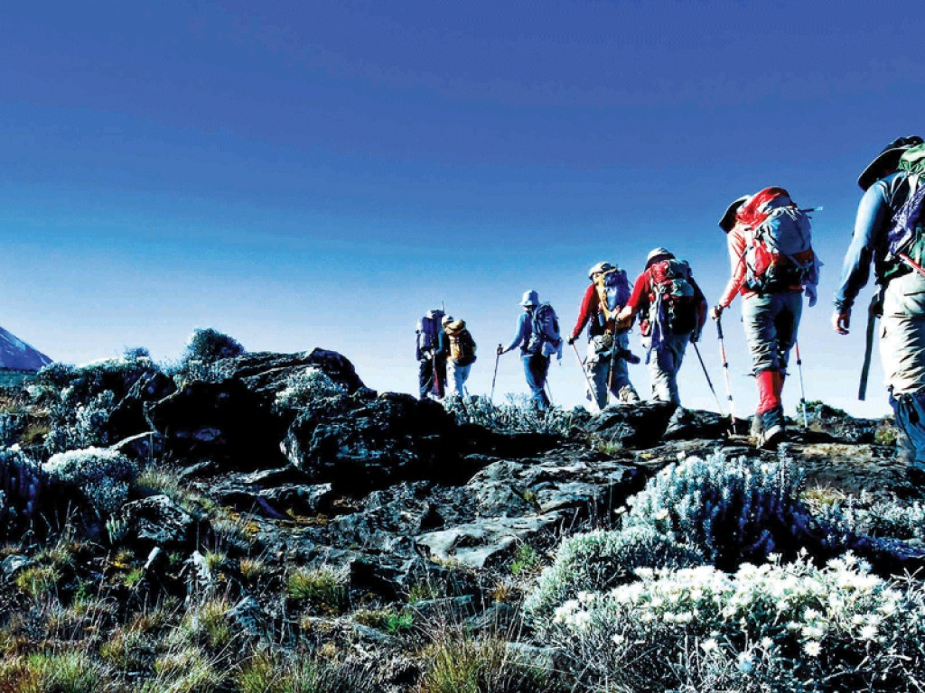 Climb Mt. Kilimanjaro Via Northern Circuit 9 Days