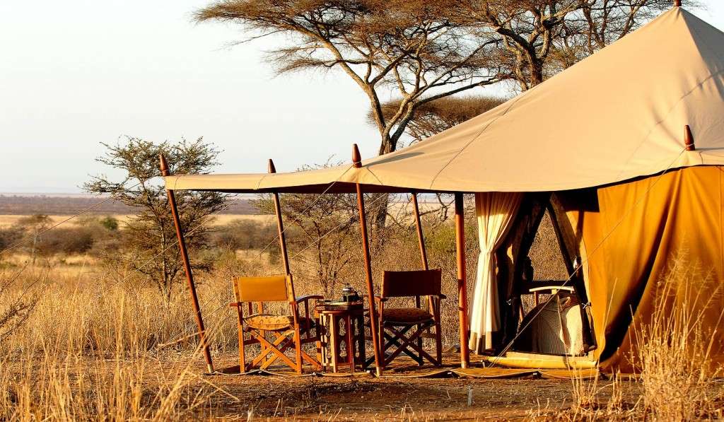 Discover Tanzania's Affordable Adventure with a Budget Camping Safari