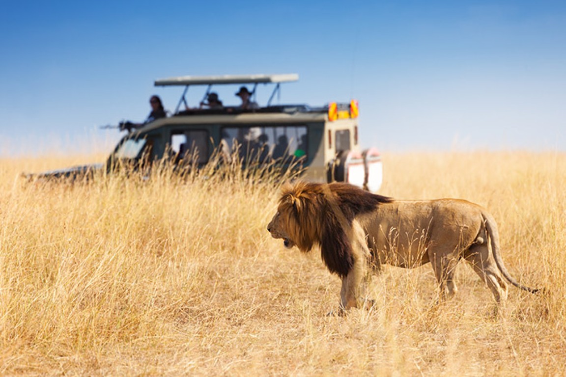 How much does safari cost in Tanzania