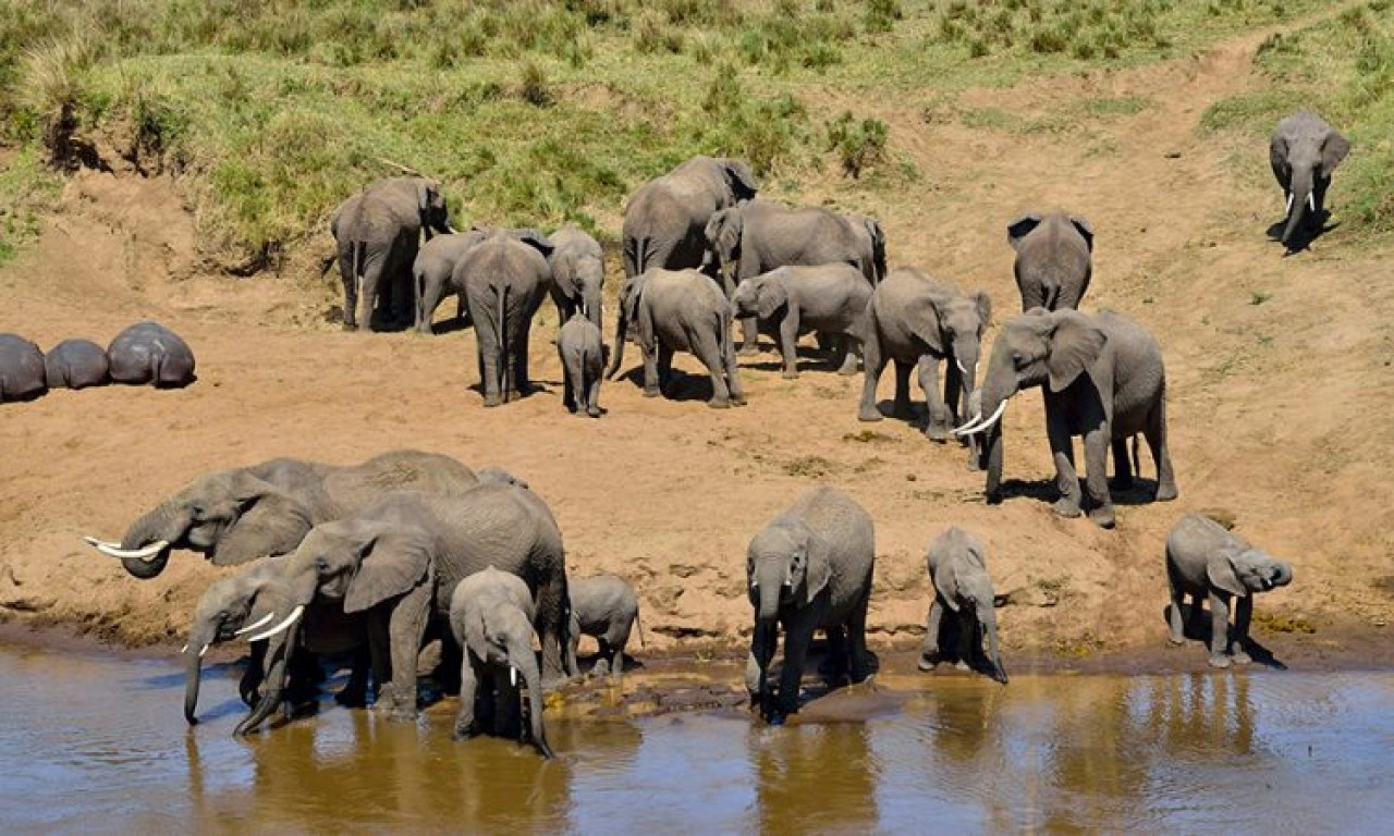 Tarangire National Park Day Trip From Arusha